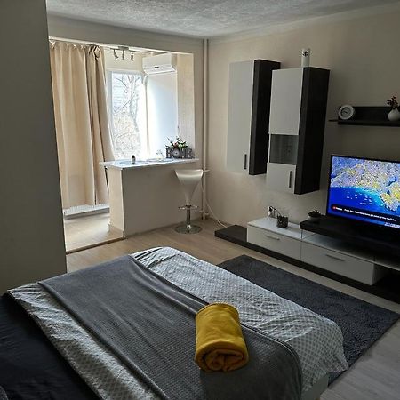 Reeas Apartament Temesvár Kültér fotó