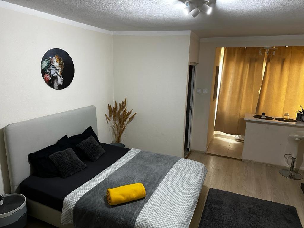 Reeas Apartament Temesvár Kültér fotó