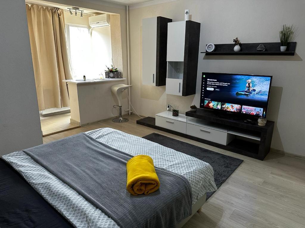 Reeas Apartament Temesvár Kültér fotó