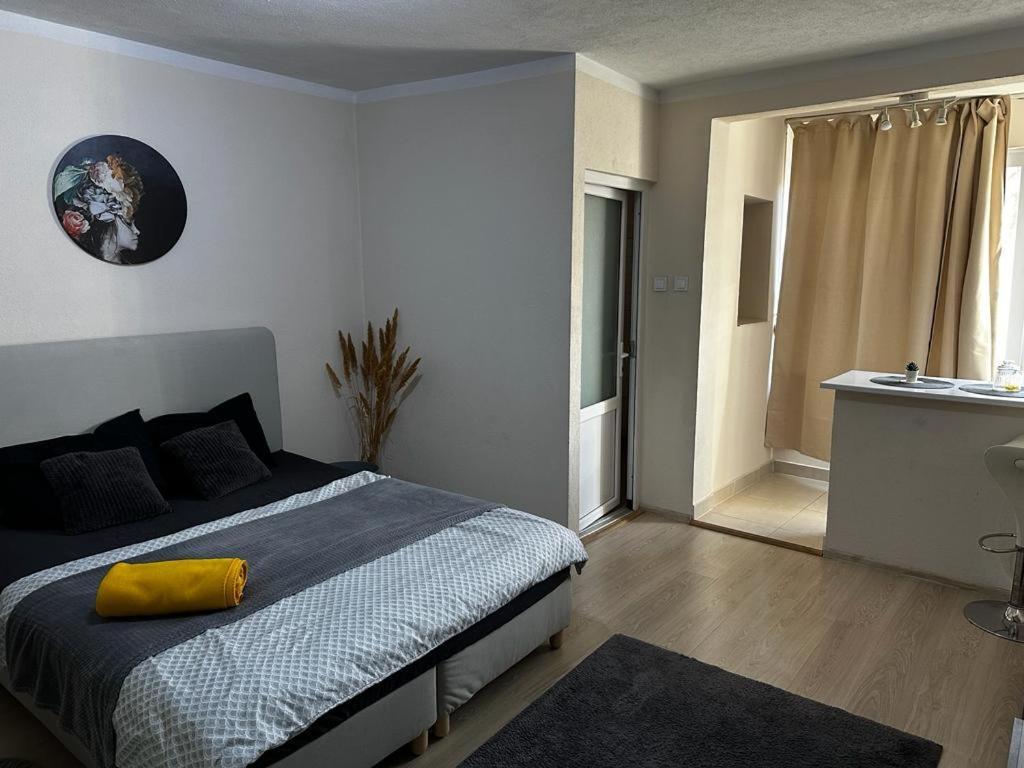 Reeas Apartament Temesvár Kültér fotó