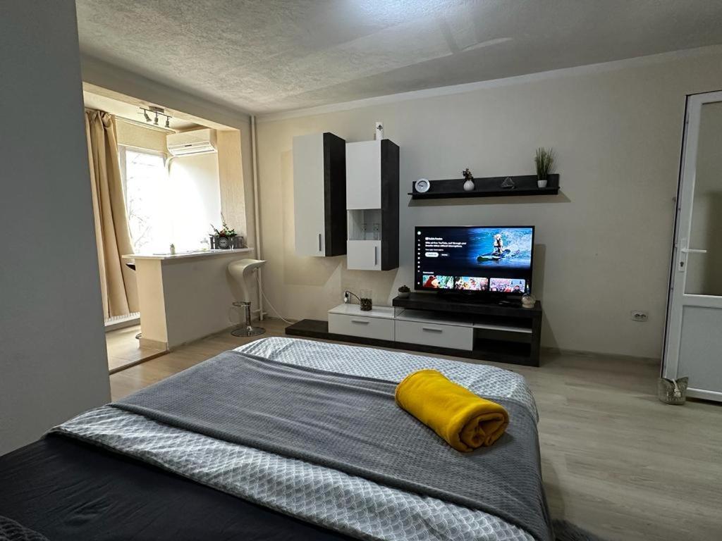 Reeas Apartament Temesvár Kültér fotó