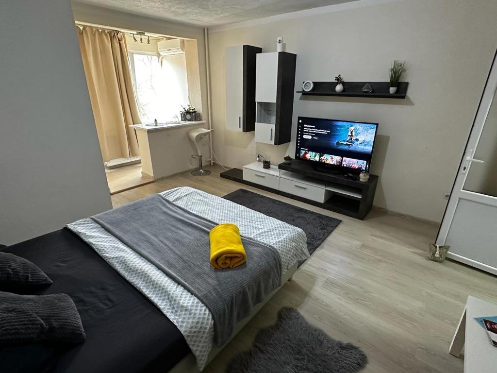 Reeas Apartament Temesvár Kültér fotó