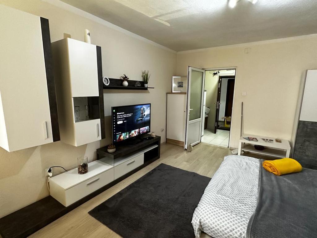 Reeas Apartament Temesvár Kültér fotó
