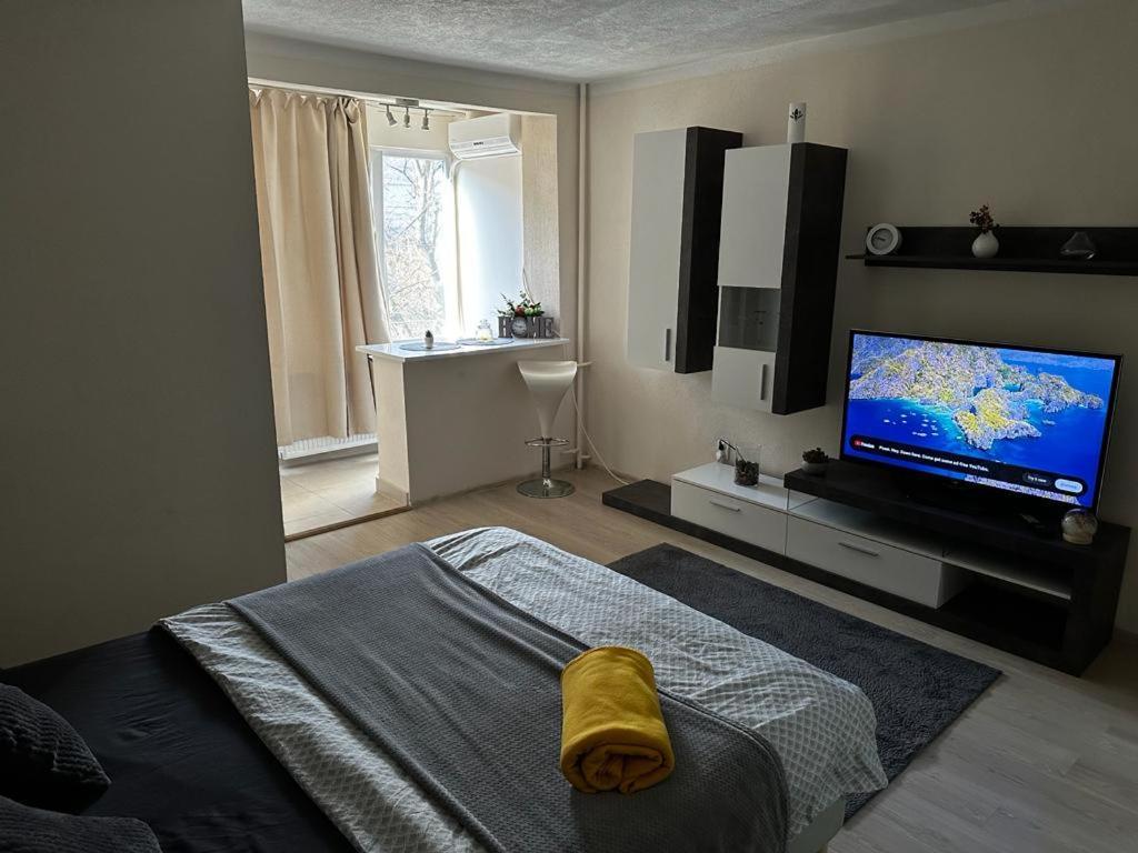Reeas Apartament Temesvár Kültér fotó