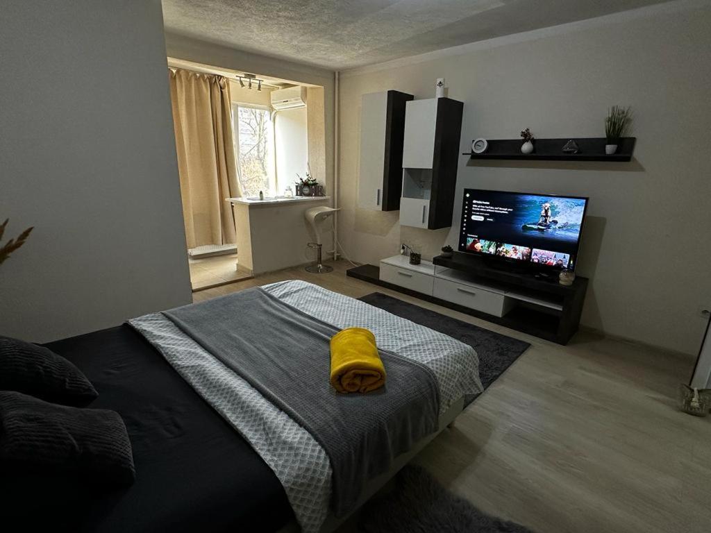 Reeas Apartament Temesvár Kültér fotó