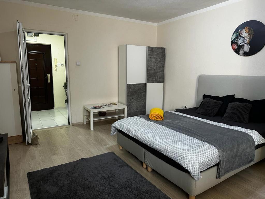 Reeas Apartament Temesvár Kültér fotó