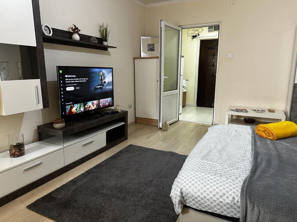 Reeas Apartament Temesvár Kültér fotó