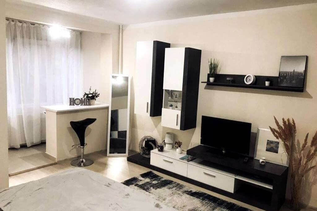 Reeas Apartament Temesvár Kültér fotó